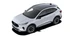 KUGA  1