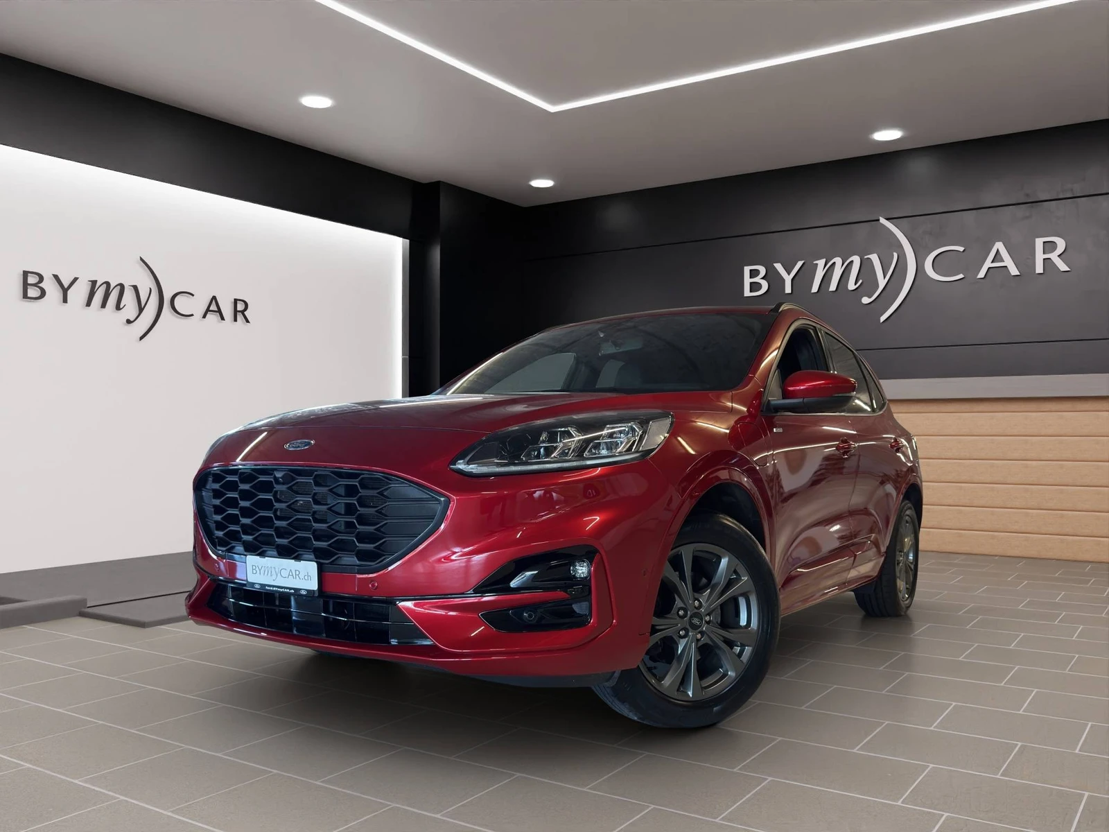 KUGA  1