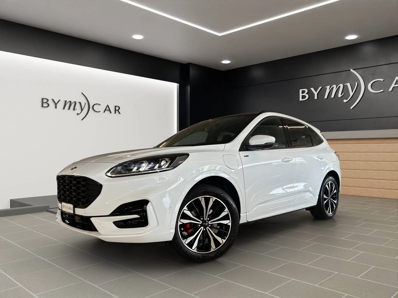 KUGA  1