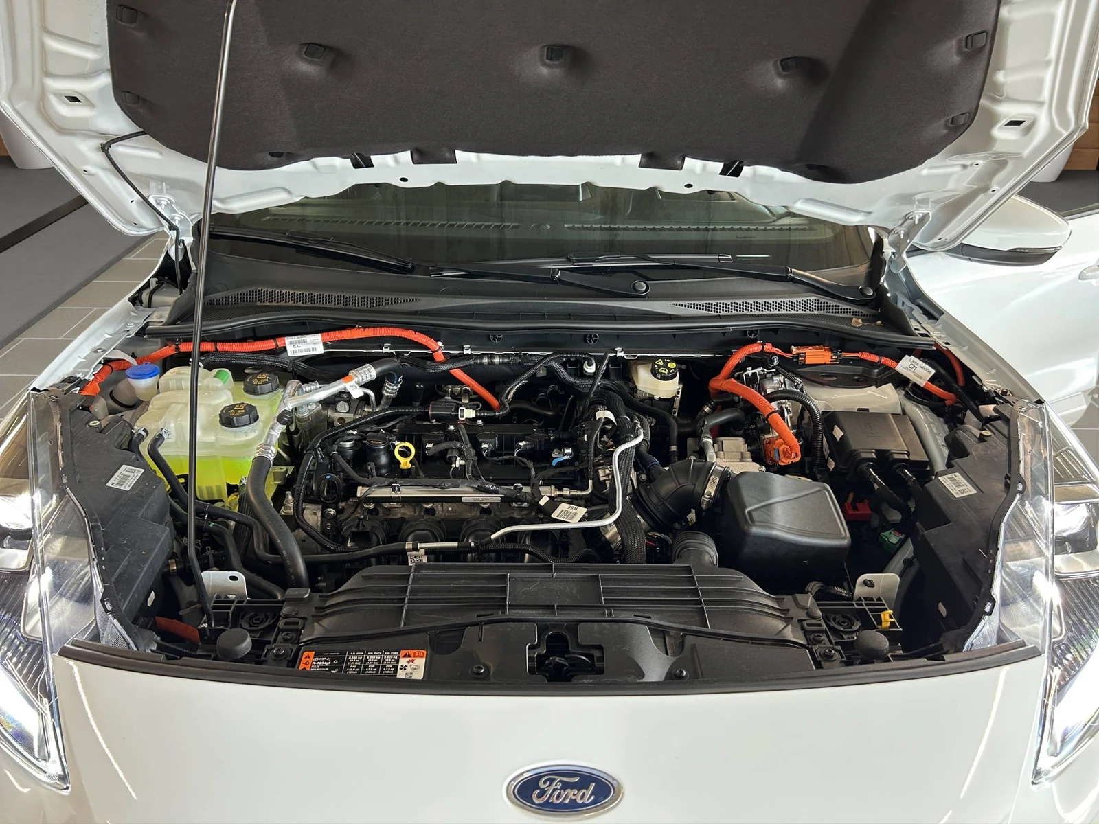 KUGA  16