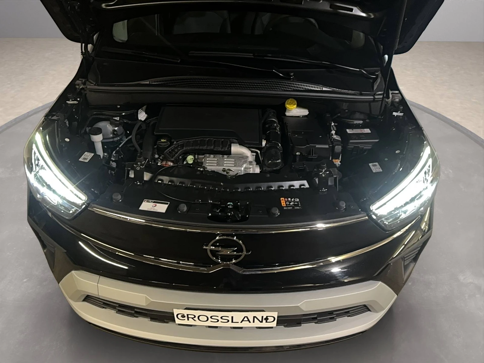 CROSSLAND X  19