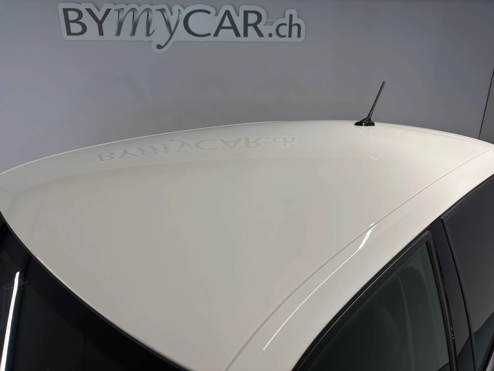 FABIA  17