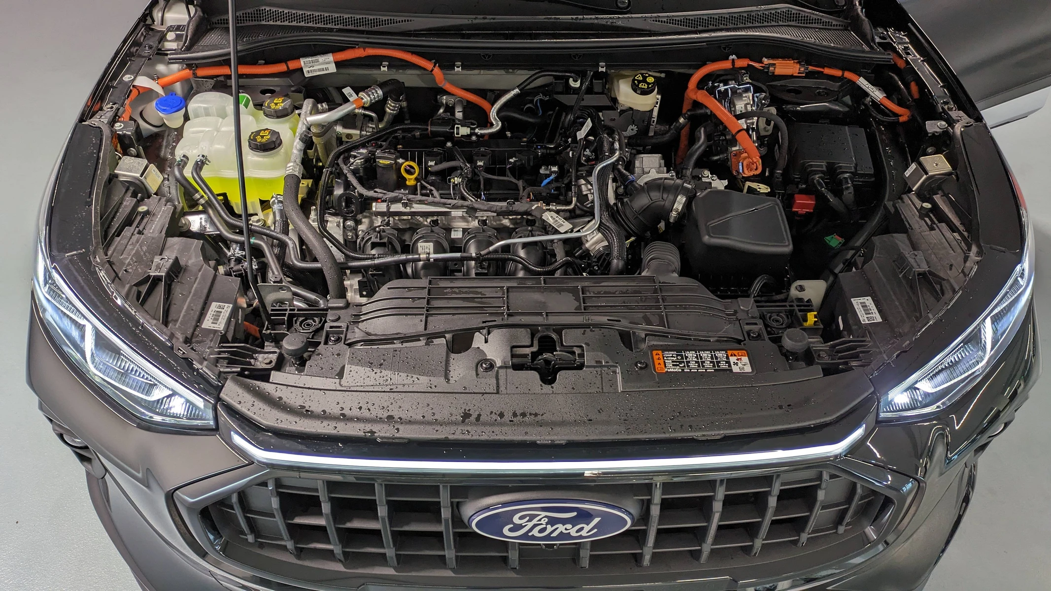 KUGA  12