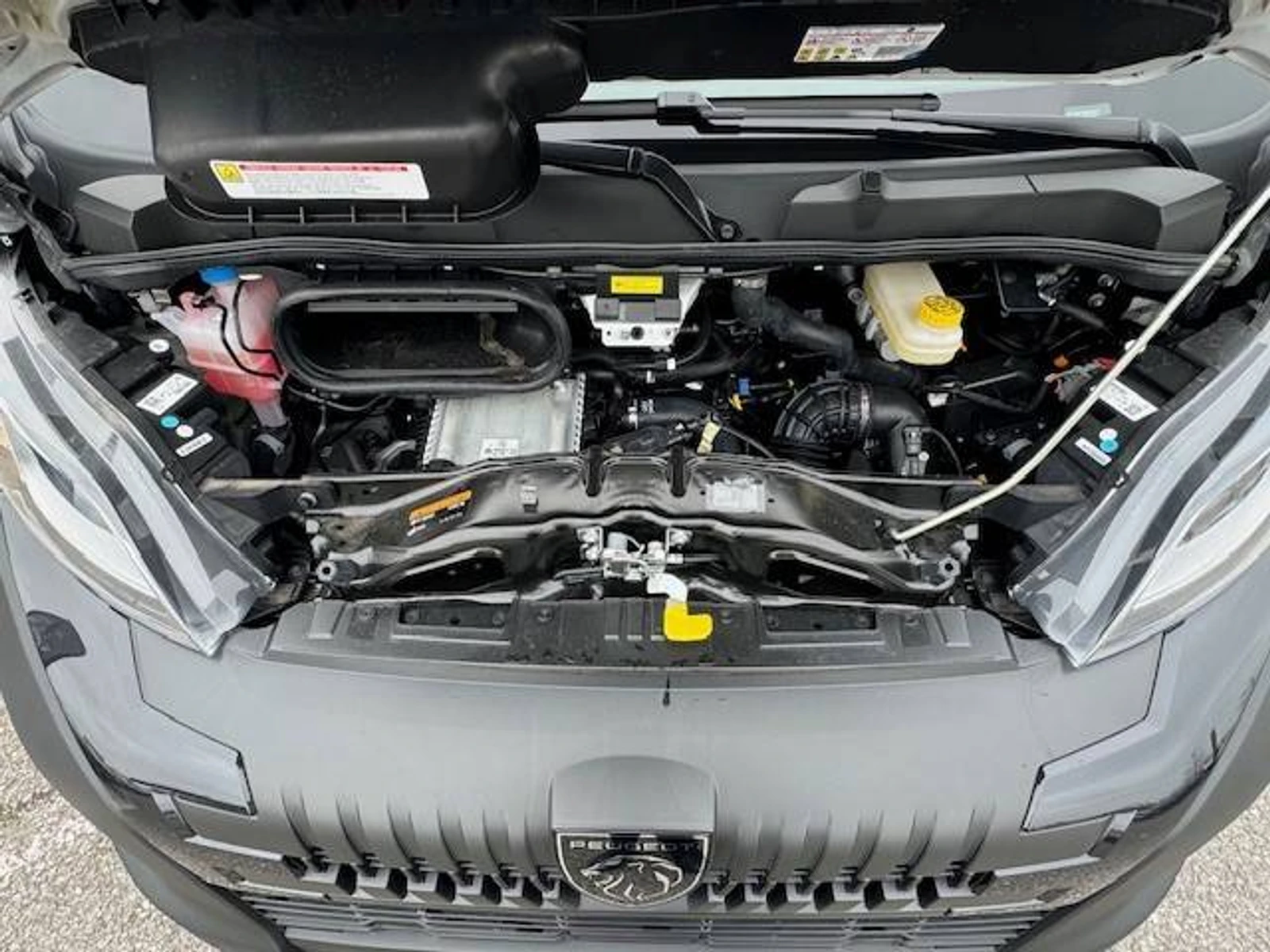 BOXER  14