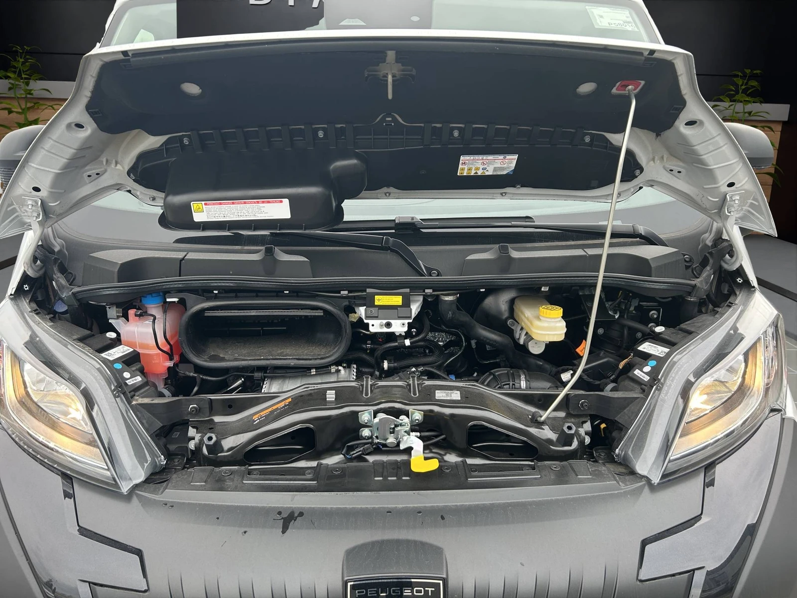 BOXER  16