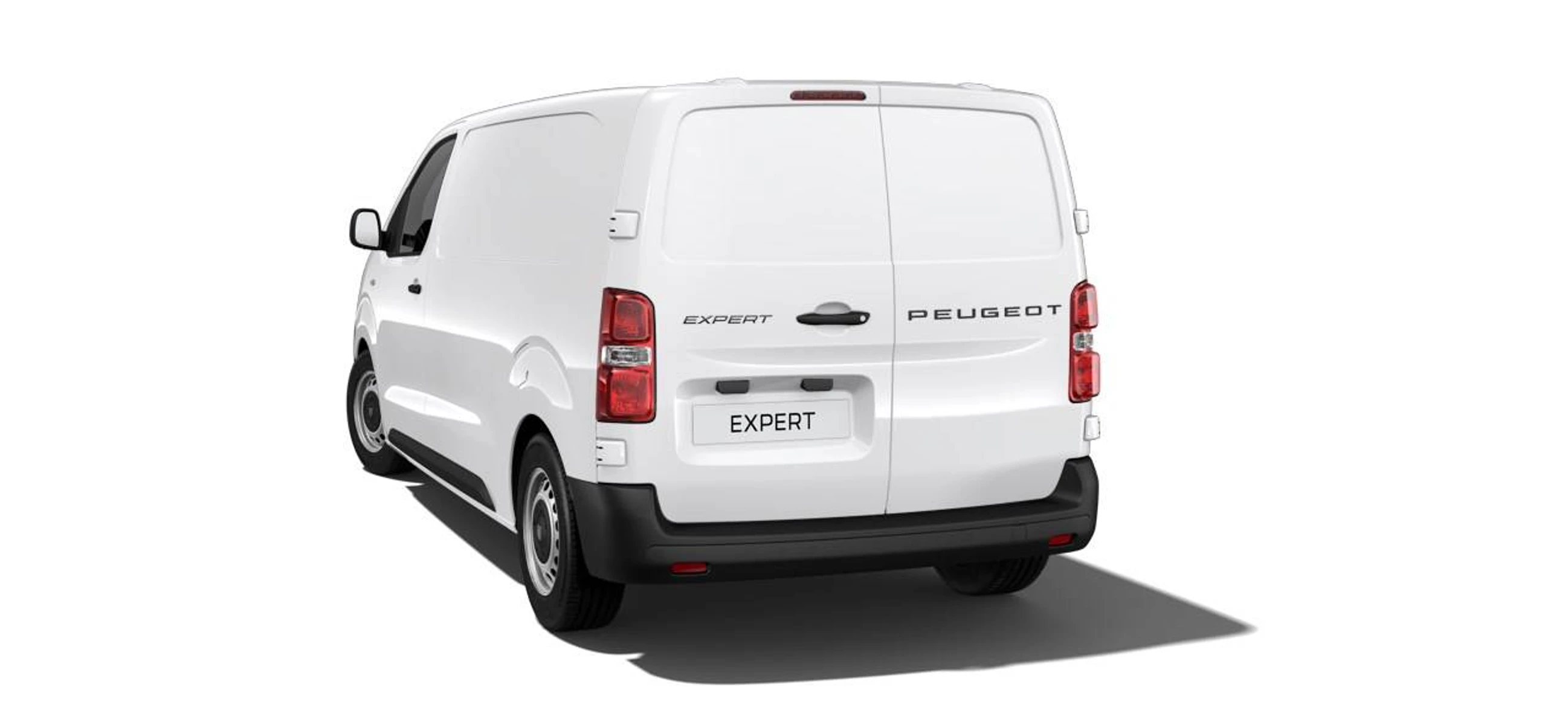 EXPERT  5