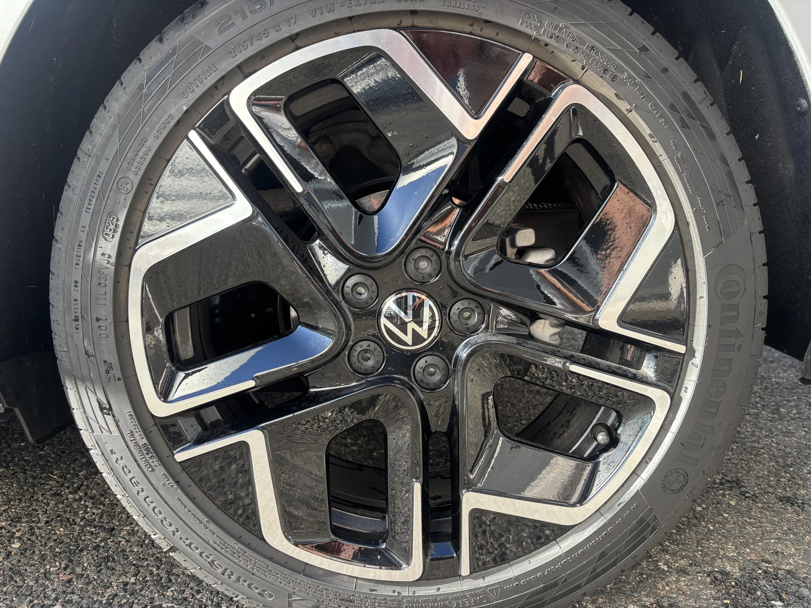 POLO  5