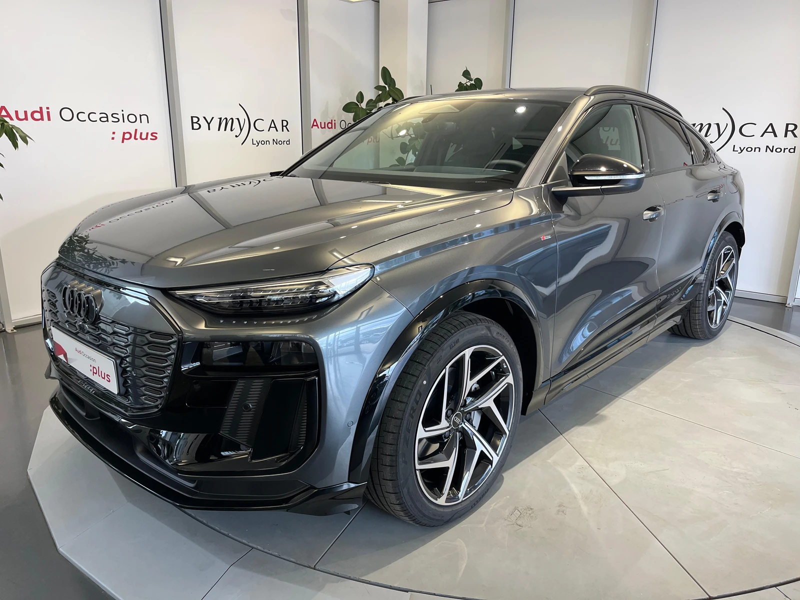 Q6 E-TRON  1