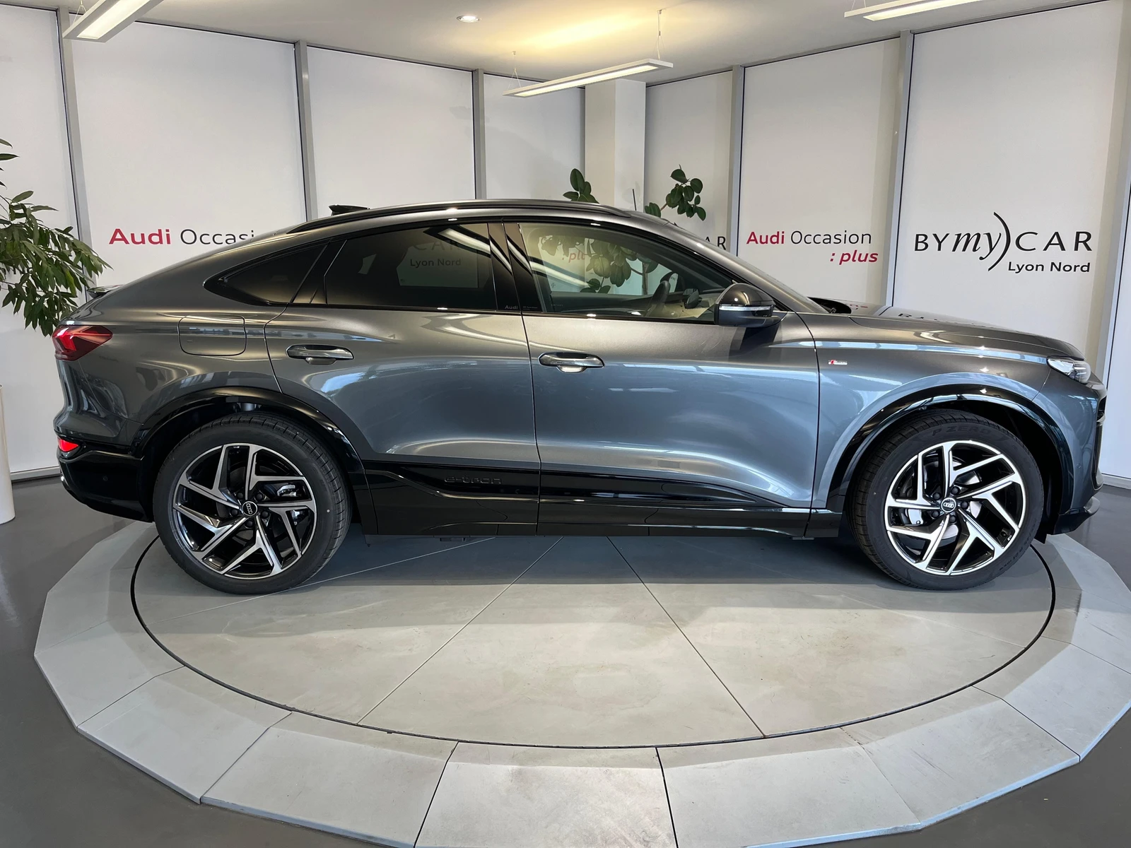 Q6 E-TRON  6