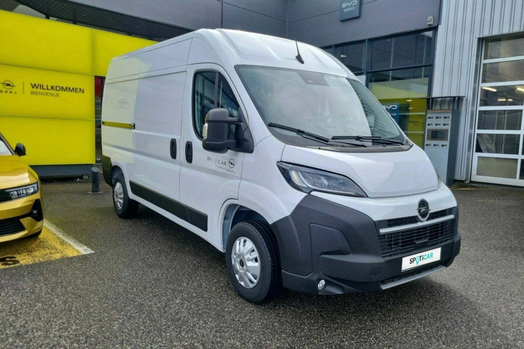 MOVANO  6