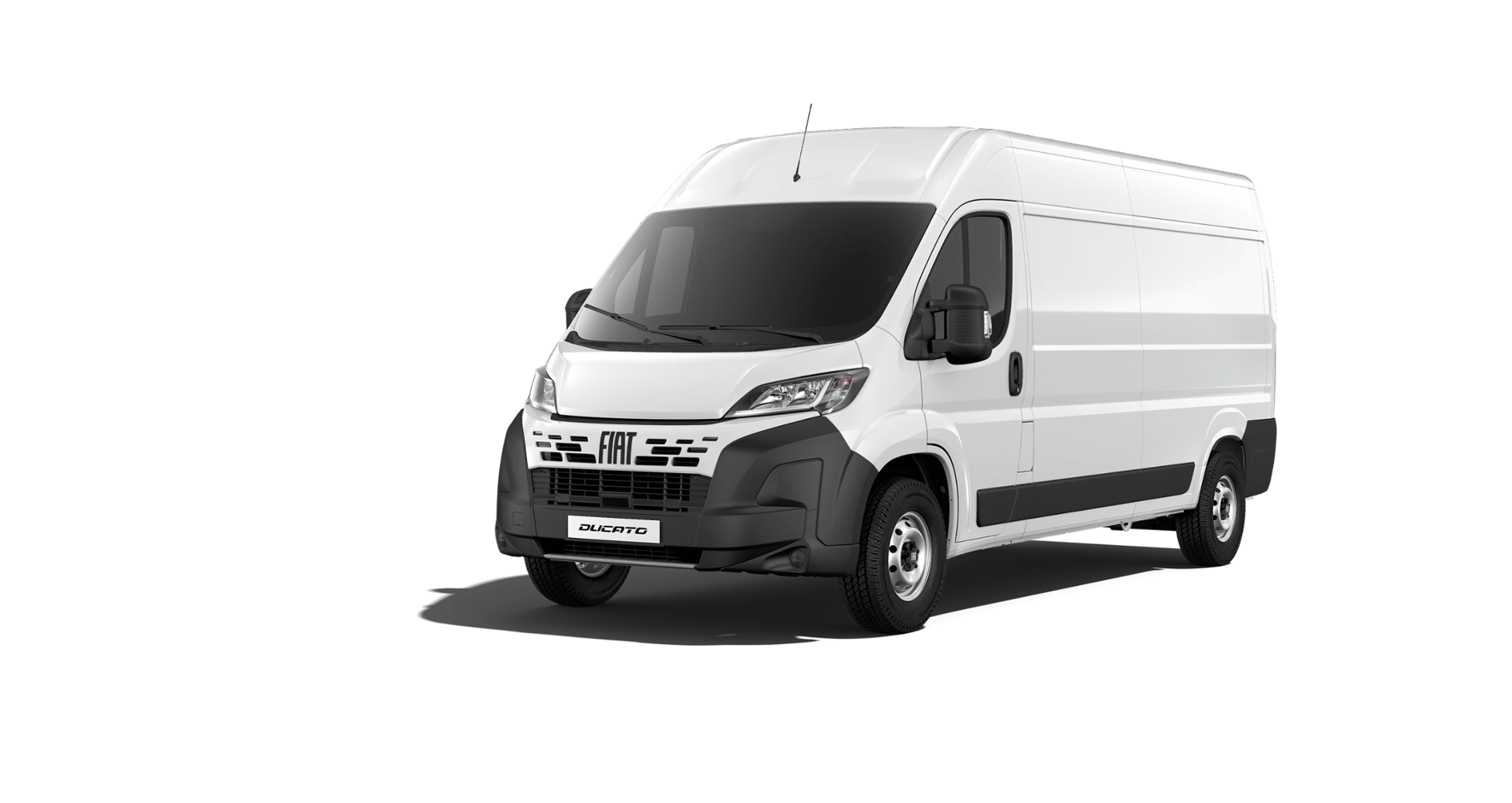 DUCATO (30)  1