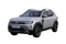DUSTER  1