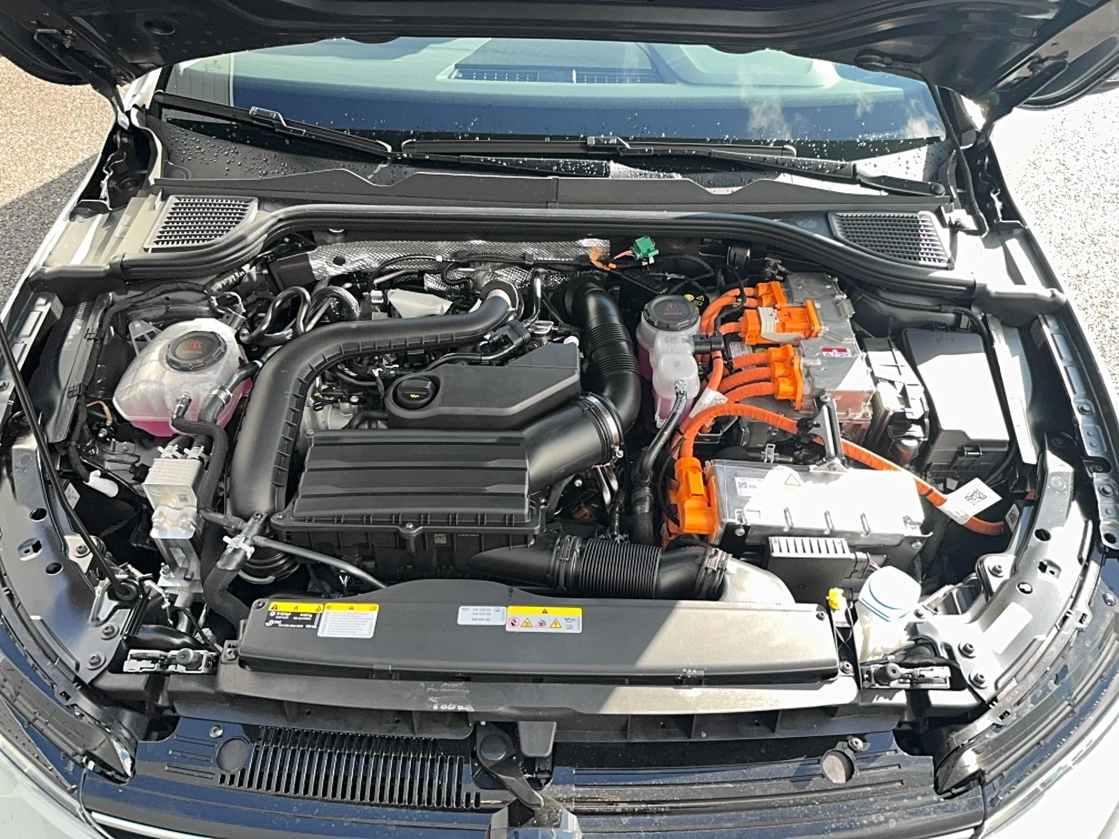 GOLF  23