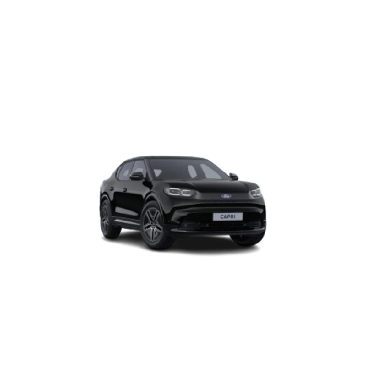 CAPRI  6