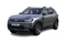 DUSTER  1