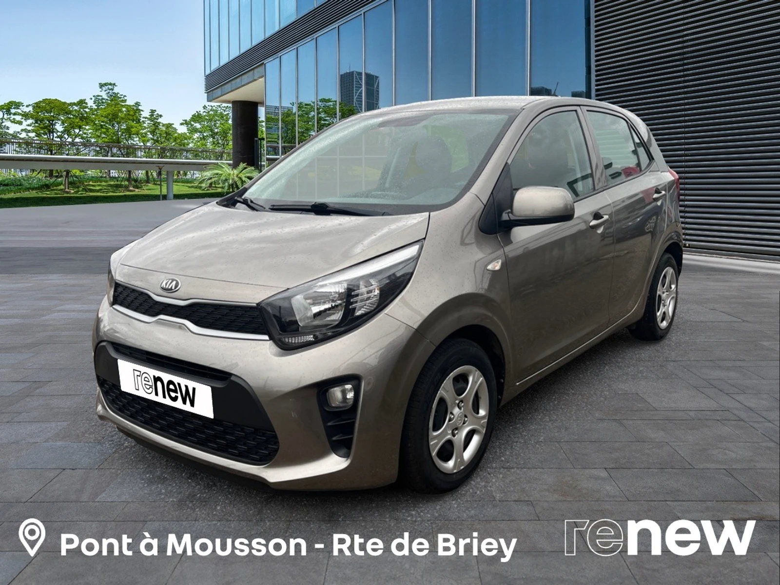 PICANTO  1