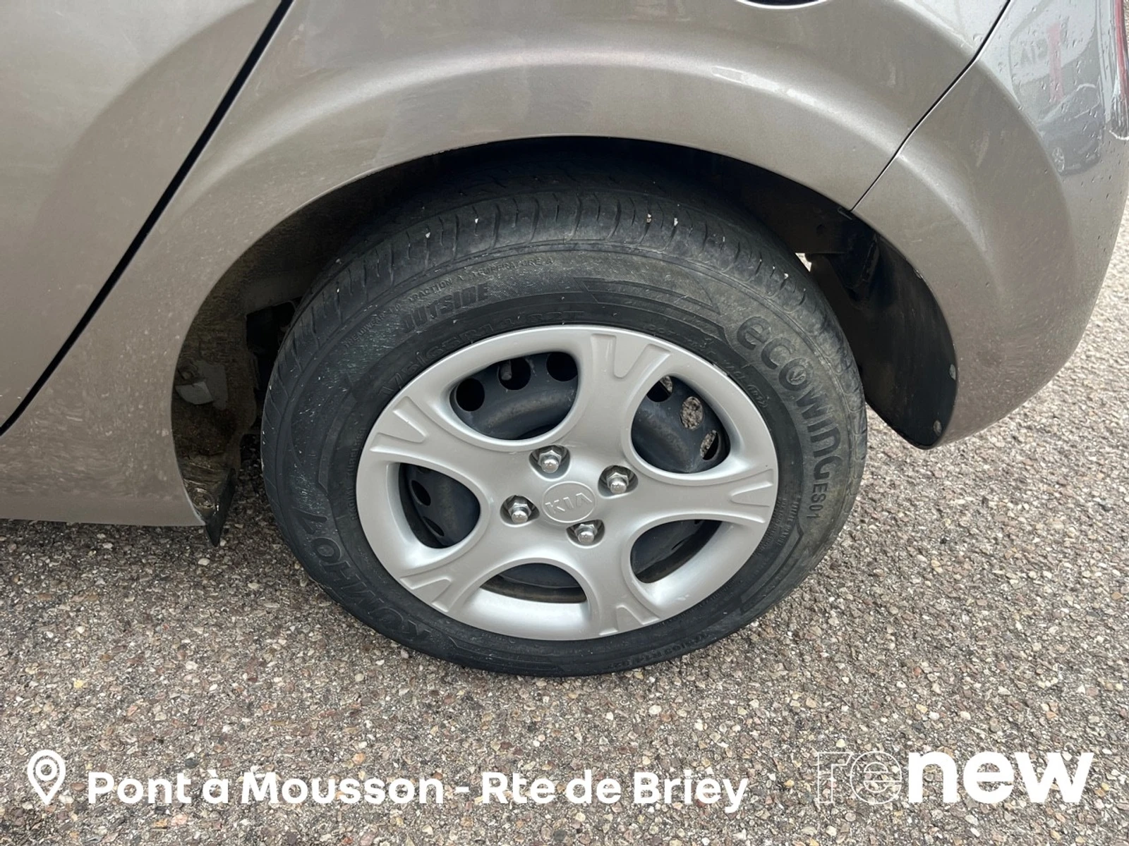 PICANTO  7