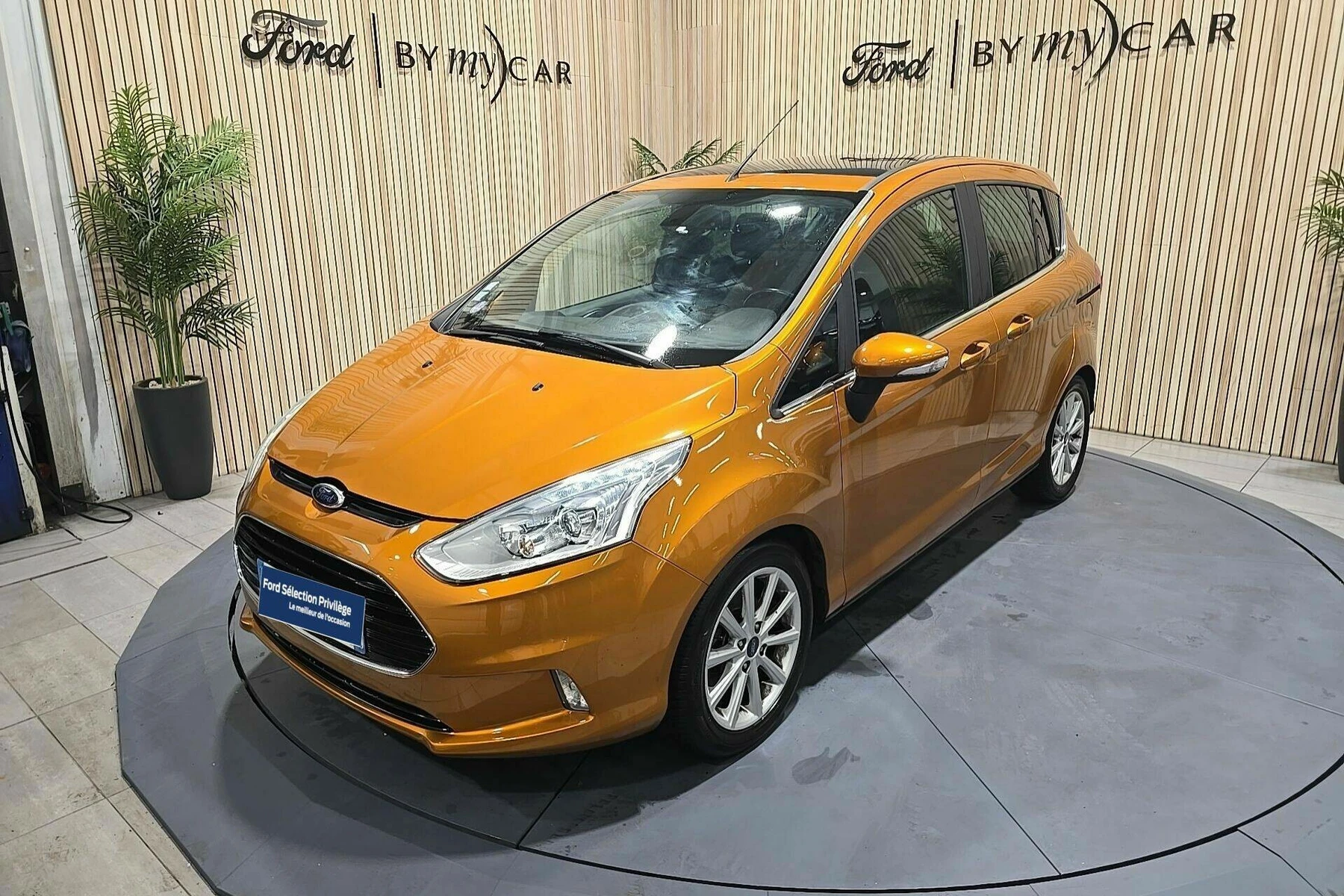 B-MAX  1
