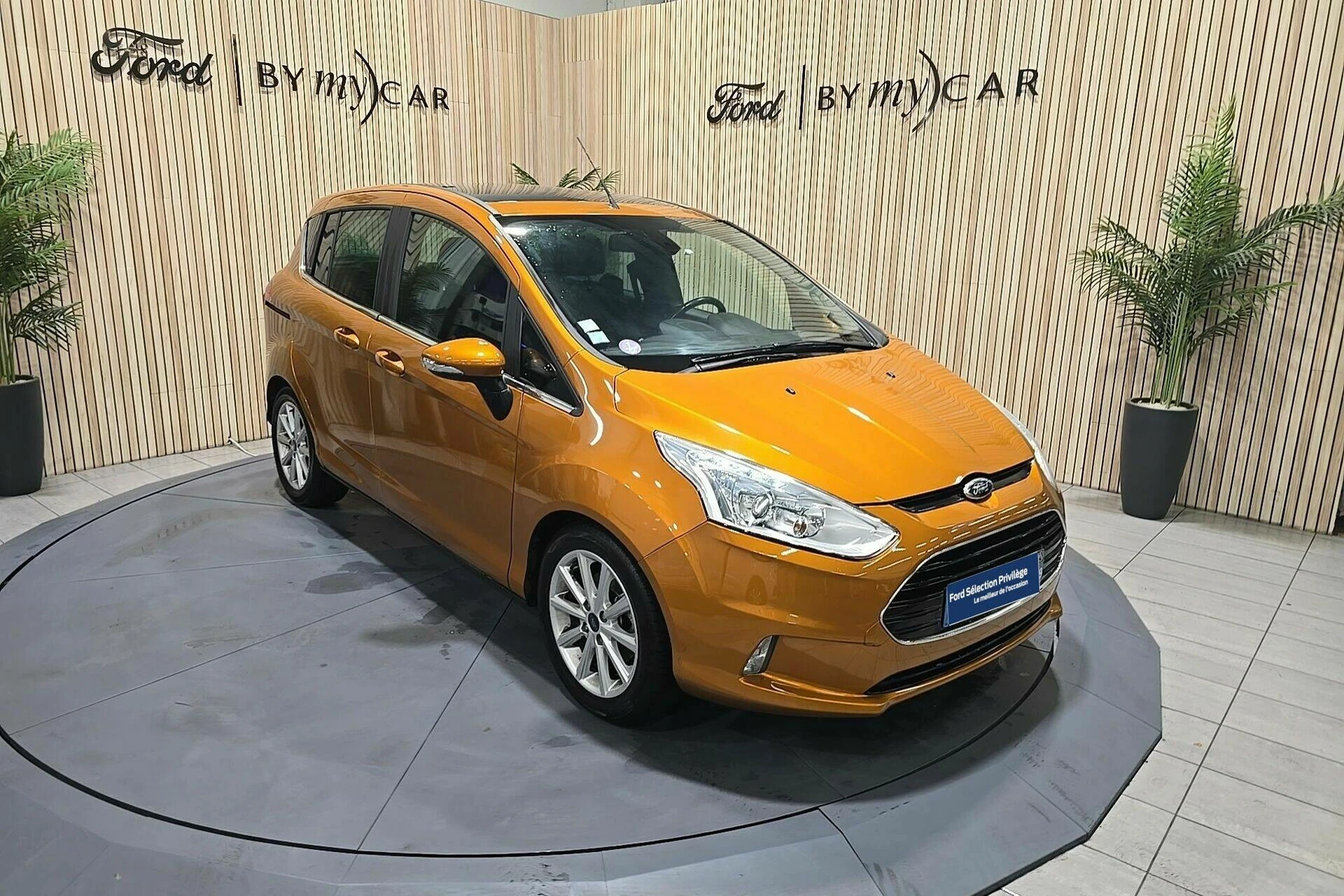 B-MAX  7