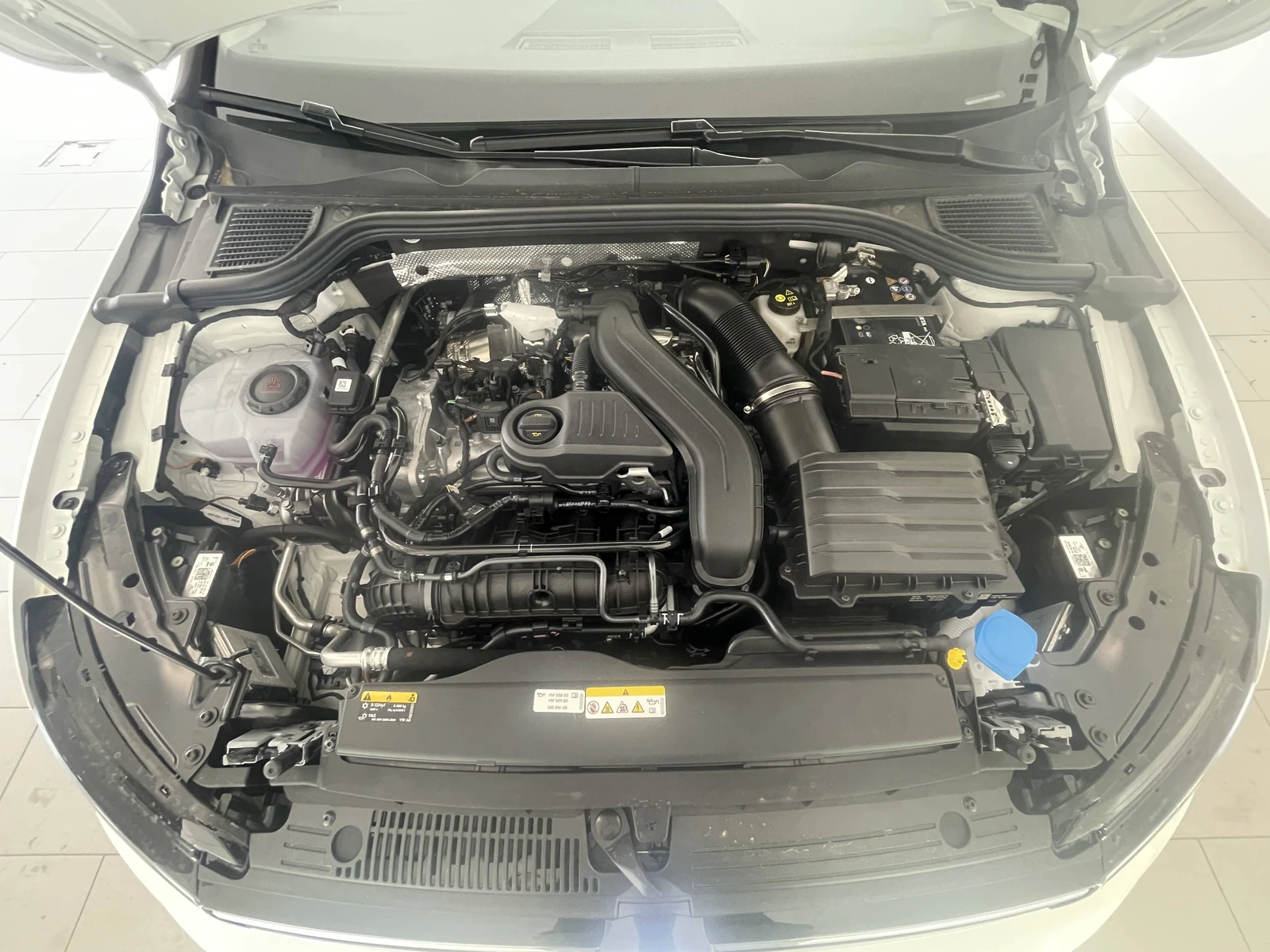 GOLF  12