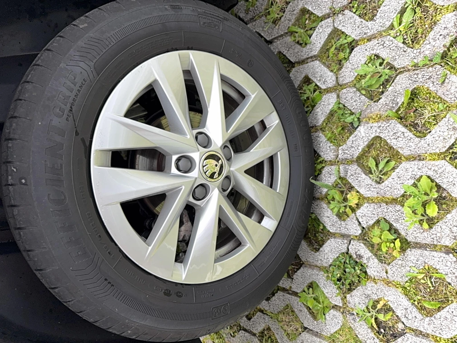 FABIA  12